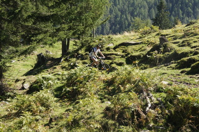 12-09-09 Almwandertag 2012 090