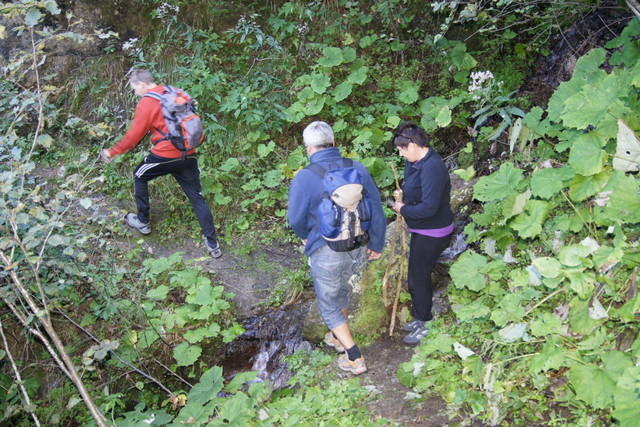 12-09-09 Almwandertag 2012 113