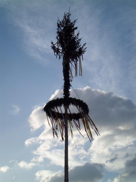 12-04-30 Maibaum 067