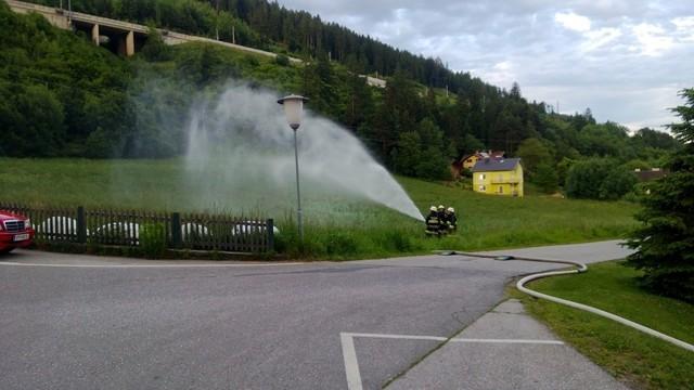 2013-06-07 AUFE 039