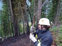 09-05-26 Waldbrand Preisdorf-012