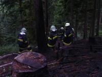 09-05-26 Waldbrand Preisdorf-018