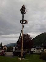 2013-04-30 Maibaum 025